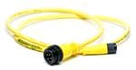 1-2273044-3 Pack of 2 Sensor Cables//Actuator Cables 4pos PVC 5.0mM12 strt plug pig shldA
